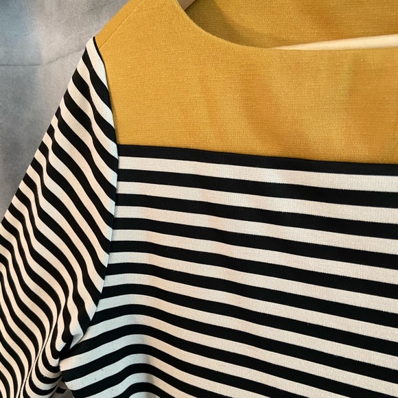 Color-blocked and cute! - Picture 6 of 10